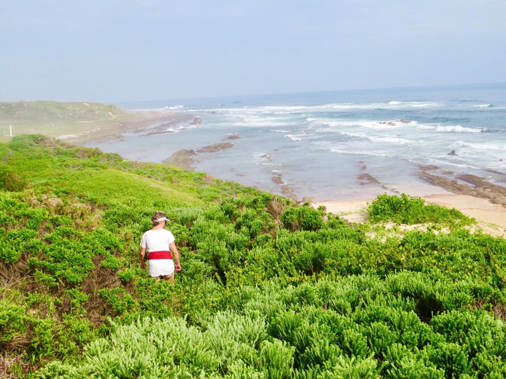 Whistlewood Guesthouse Walmer, Port Eizabeth Port Elizabeth Ngoại thất bức ảnh