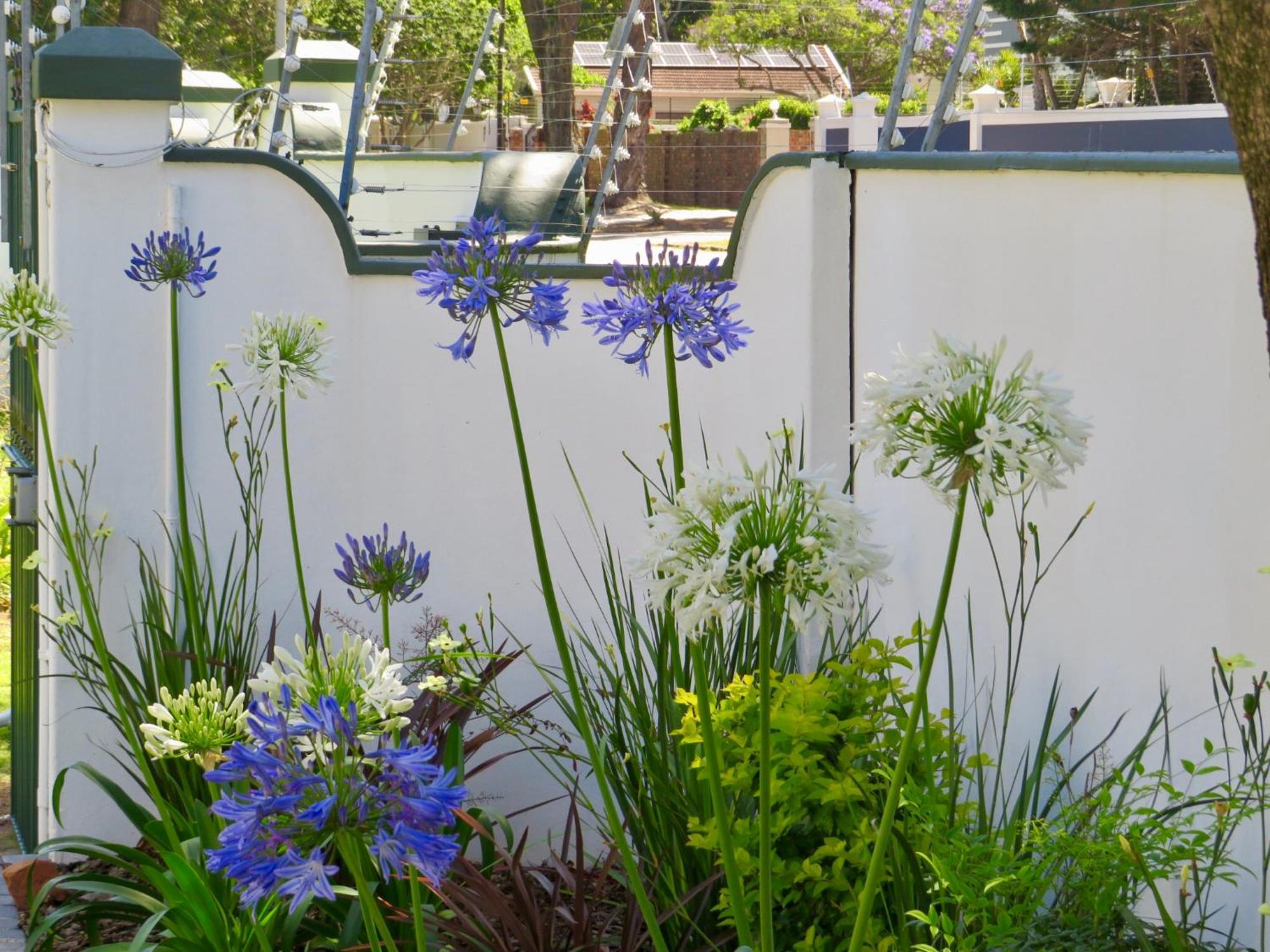 Whistlewood Guesthouse Walmer, Port Eizabeth Port Elizabeth Ngoại thất bức ảnh