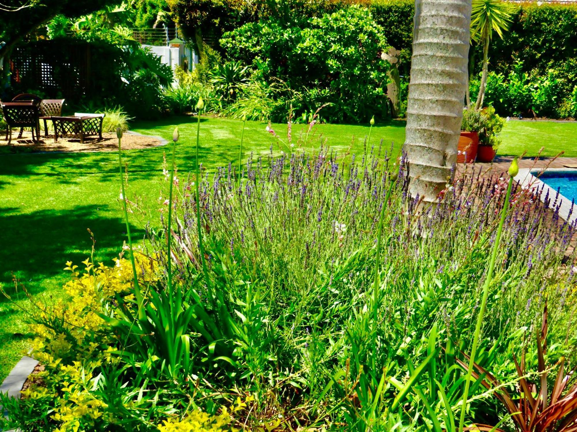 Whistlewood Guesthouse Walmer, Port Eizabeth Port Elizabeth Ngoại thất bức ảnh