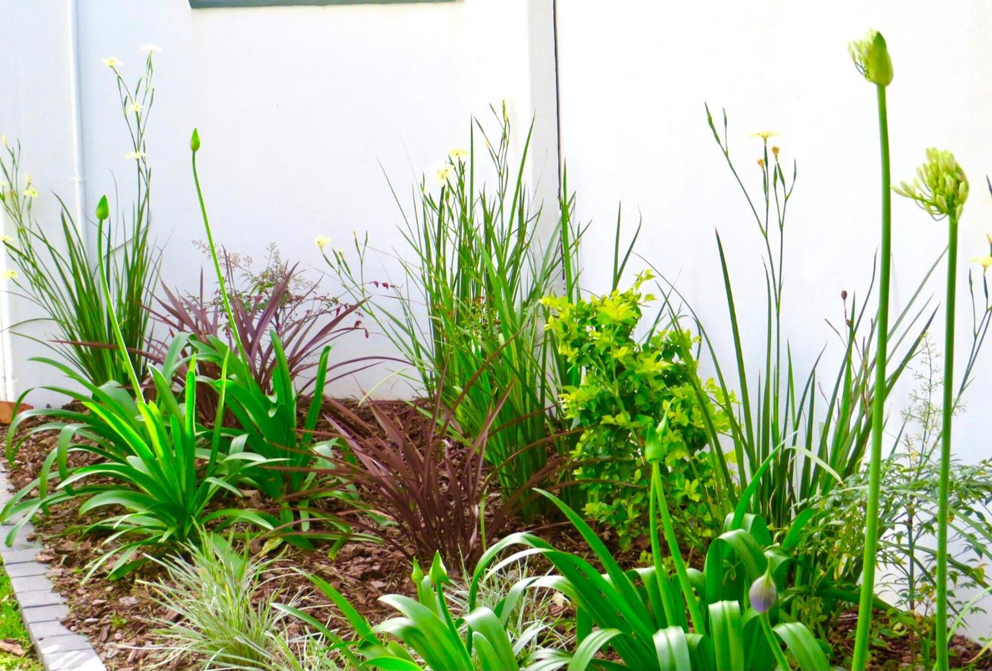 Whistlewood Guesthouse Walmer, Port Eizabeth Port Elizabeth Ngoại thất bức ảnh