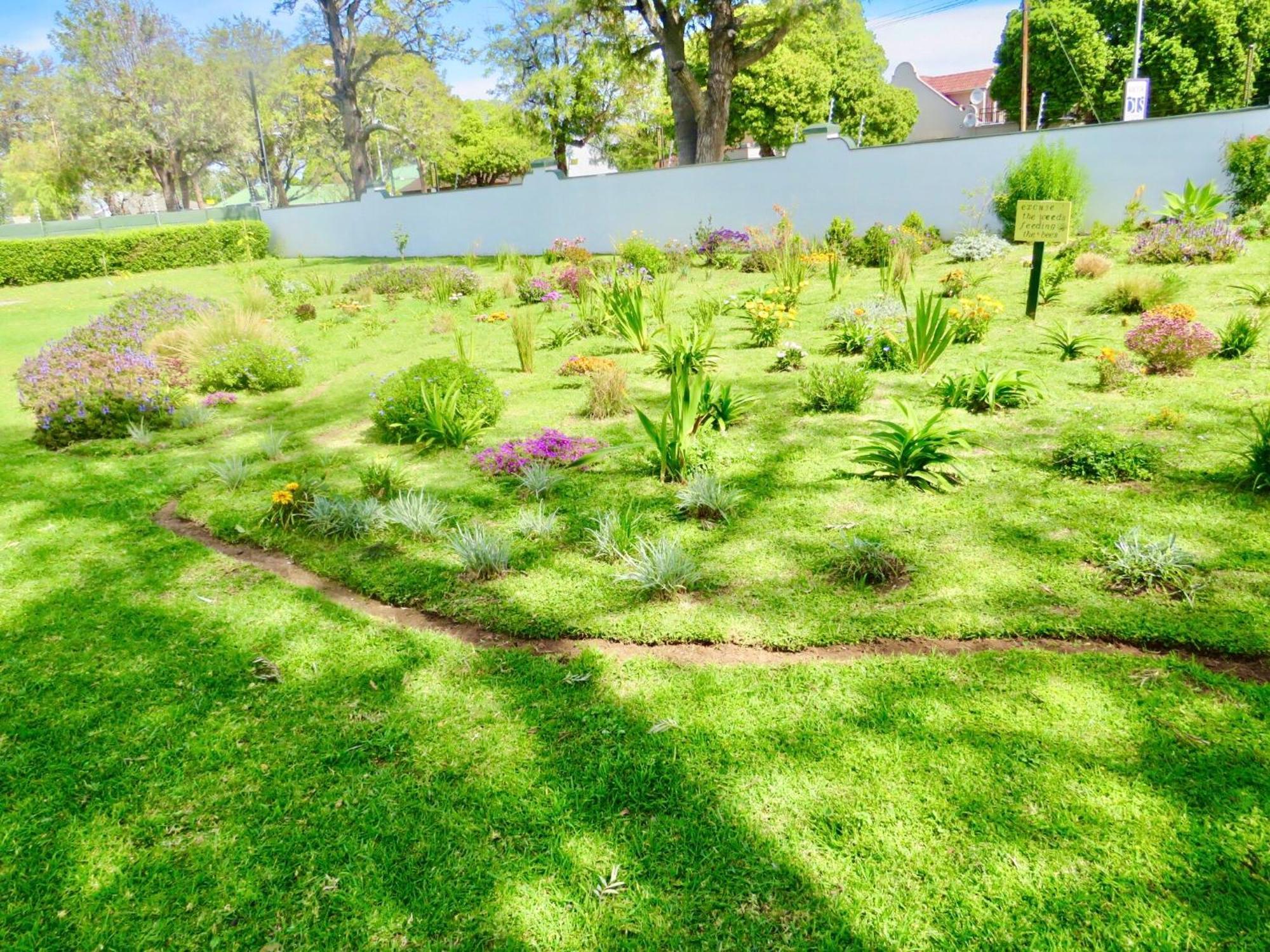 Whistlewood Guesthouse Walmer, Port Eizabeth Port Elizabeth Ngoại thất bức ảnh