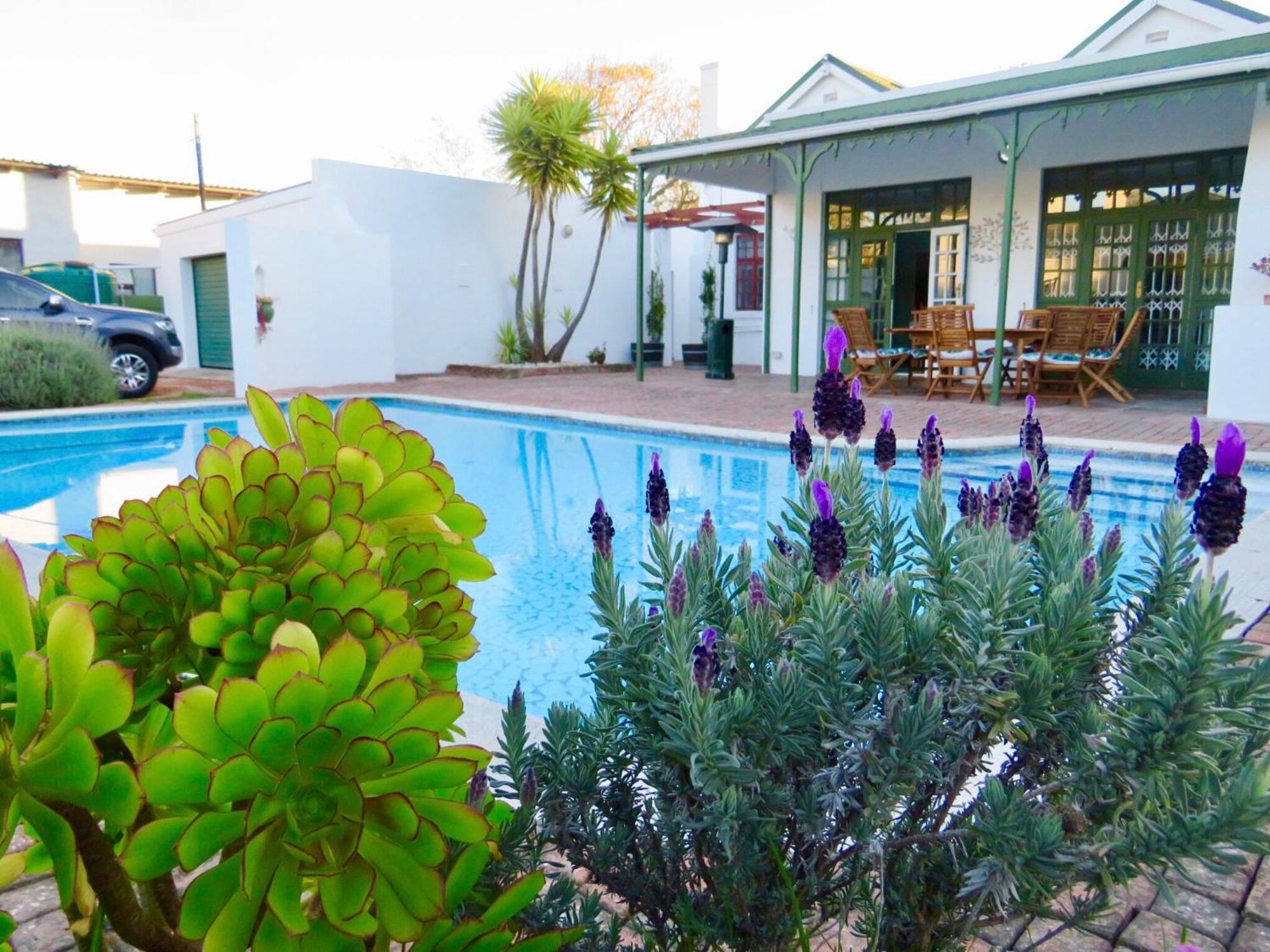 Whistlewood Guesthouse Walmer, Port Eizabeth Port Elizabeth Ngoại thất bức ảnh