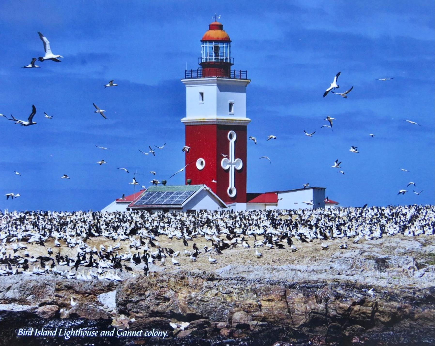 Whistlewood Guesthouse Walmer, Port Eizabeth Port Elizabeth Ngoại thất bức ảnh