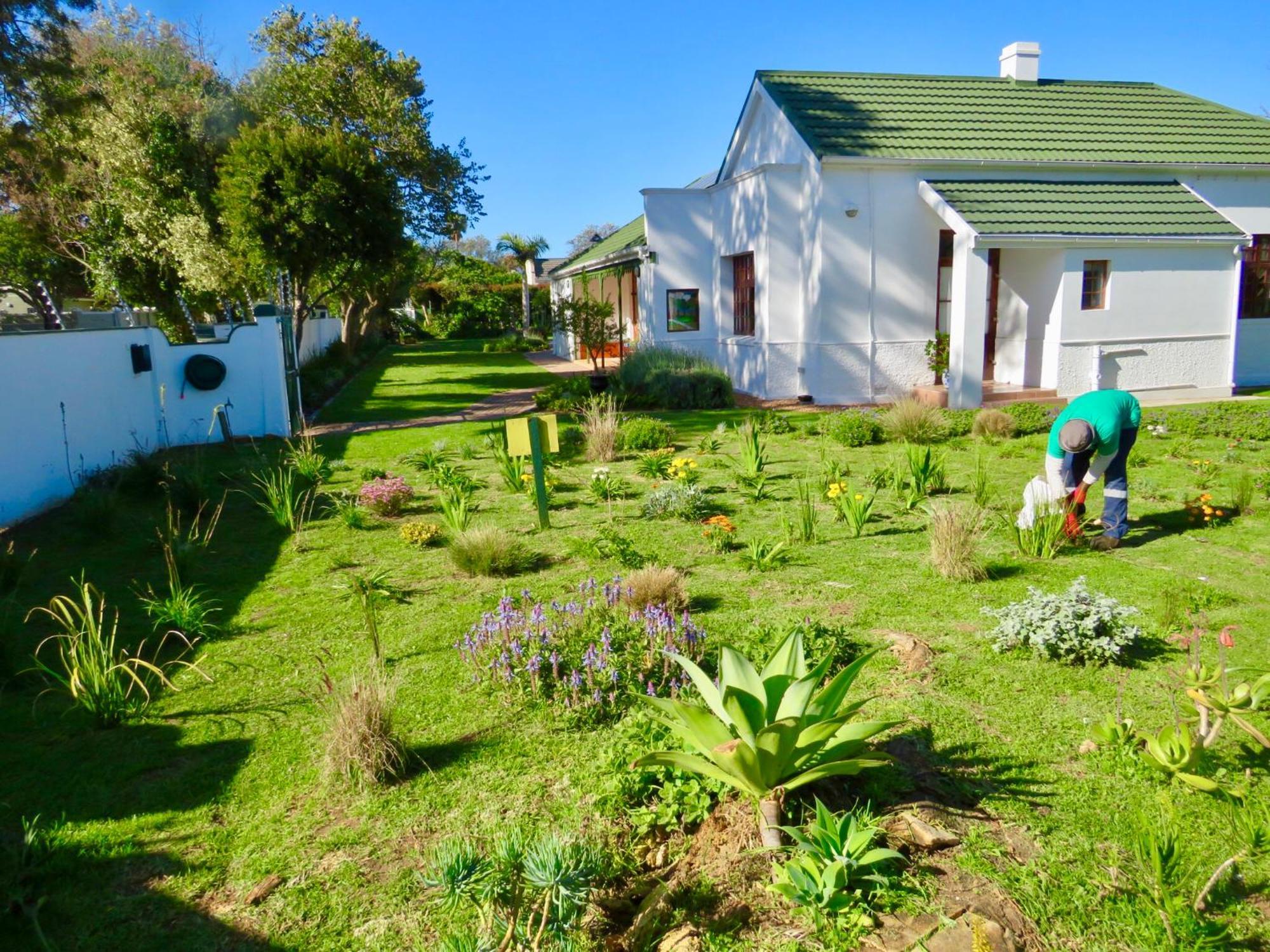 Whistlewood Guesthouse Walmer, Port Eizabeth Port Elizabeth Ngoại thất bức ảnh