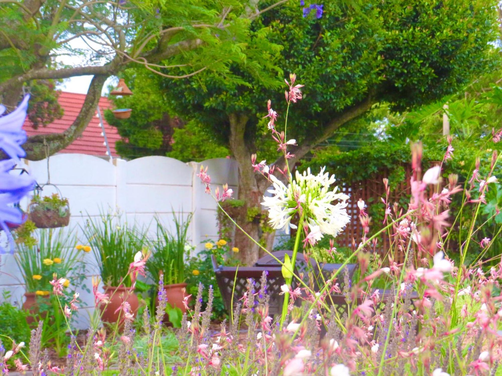 Whistlewood Guesthouse Walmer, Port Eizabeth Port Elizabeth Ngoại thất bức ảnh
