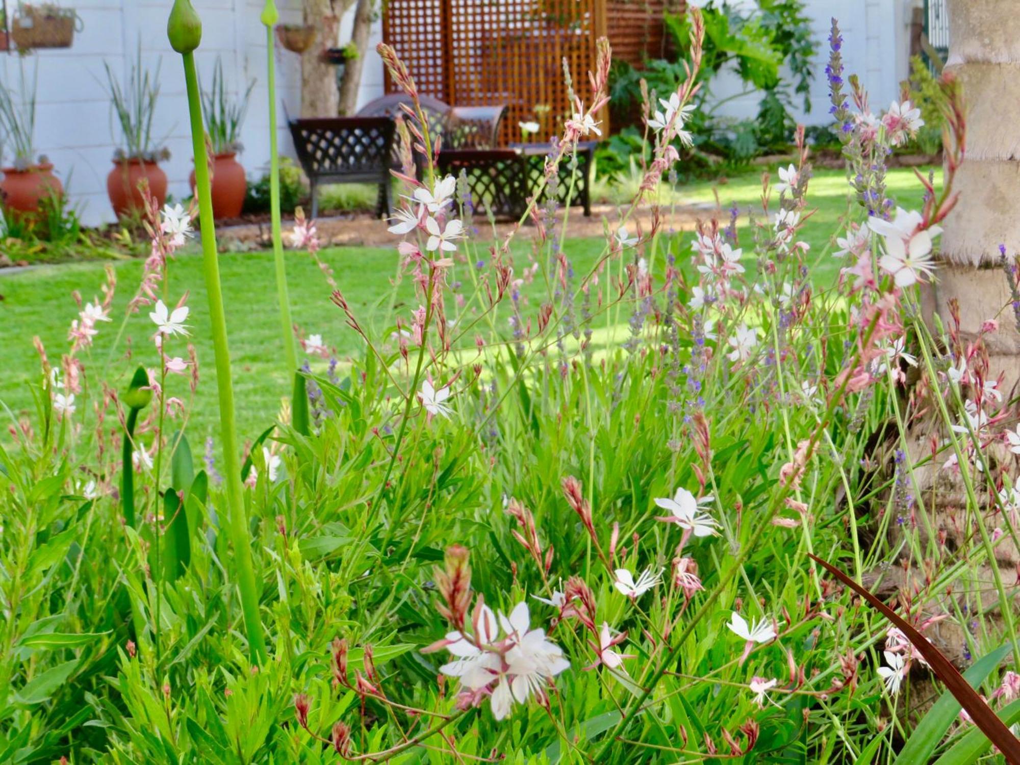 Whistlewood Guesthouse Walmer, Port Eizabeth Port Elizabeth Ngoại thất bức ảnh