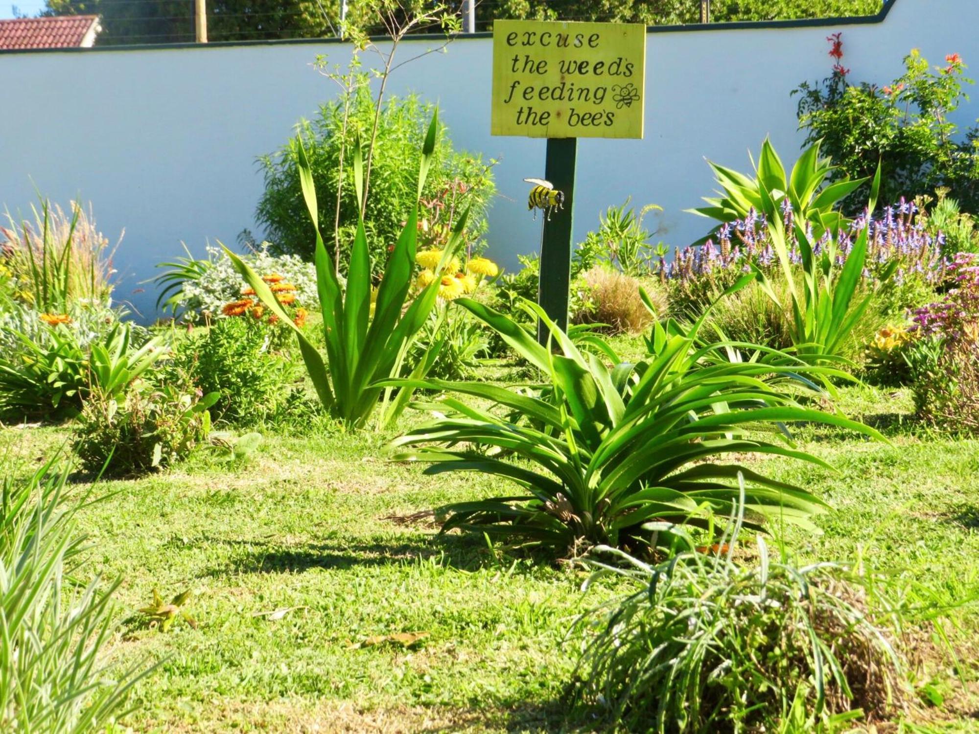 Whistlewood Guesthouse Walmer, Port Eizabeth Port Elizabeth Ngoại thất bức ảnh
